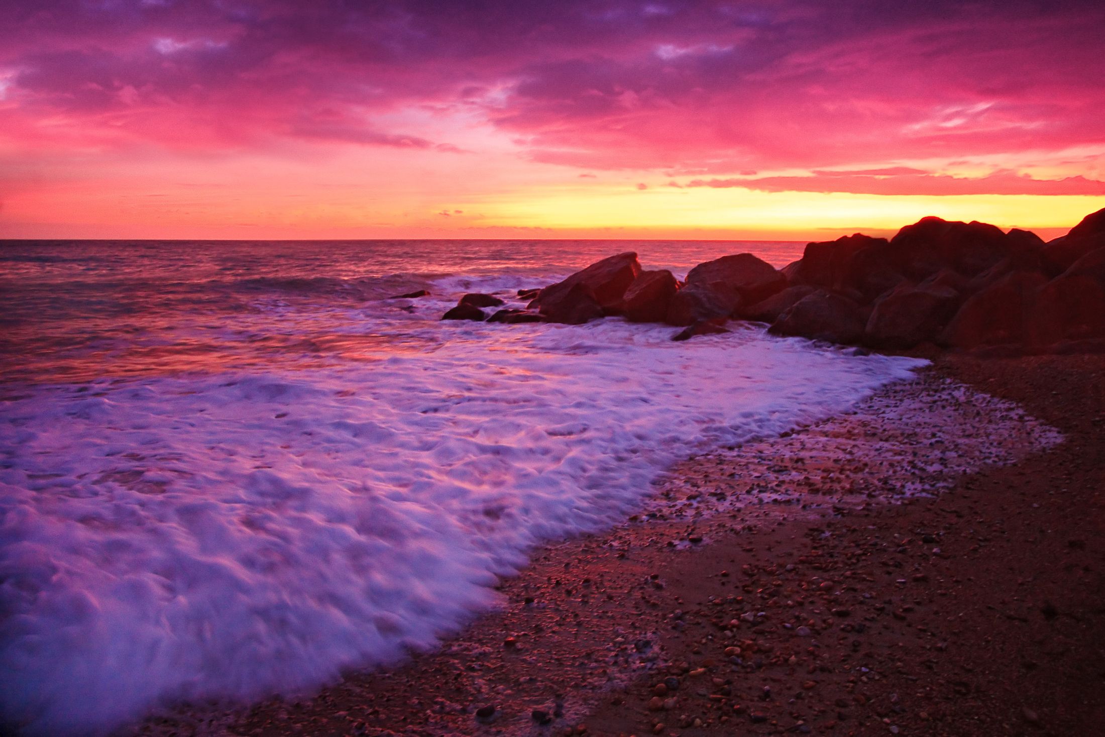 Violet Surf