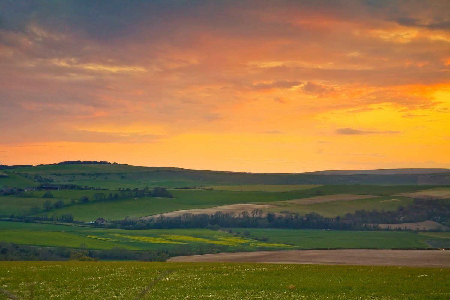 Downland Sunset