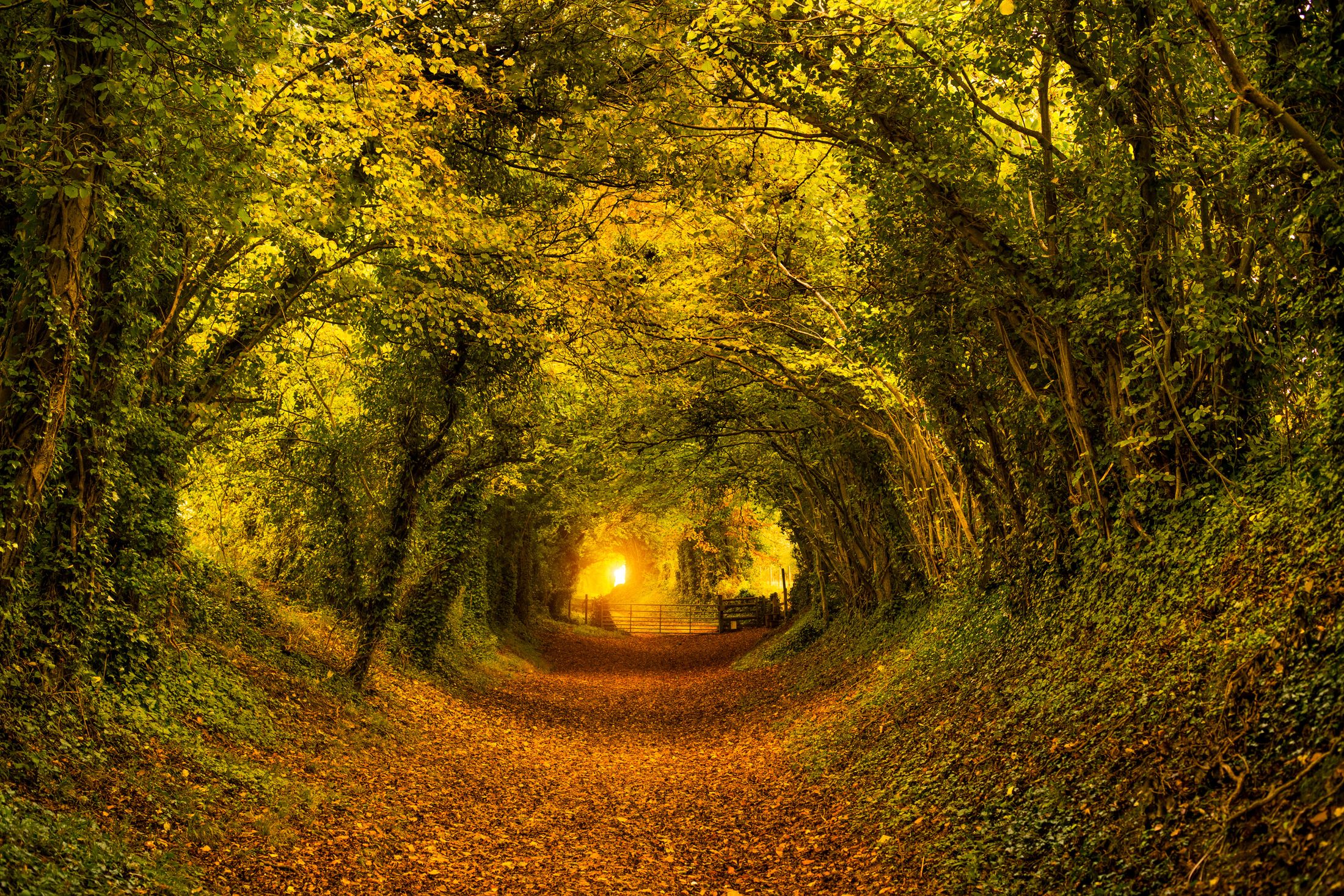 Light at the End of the Tunnel