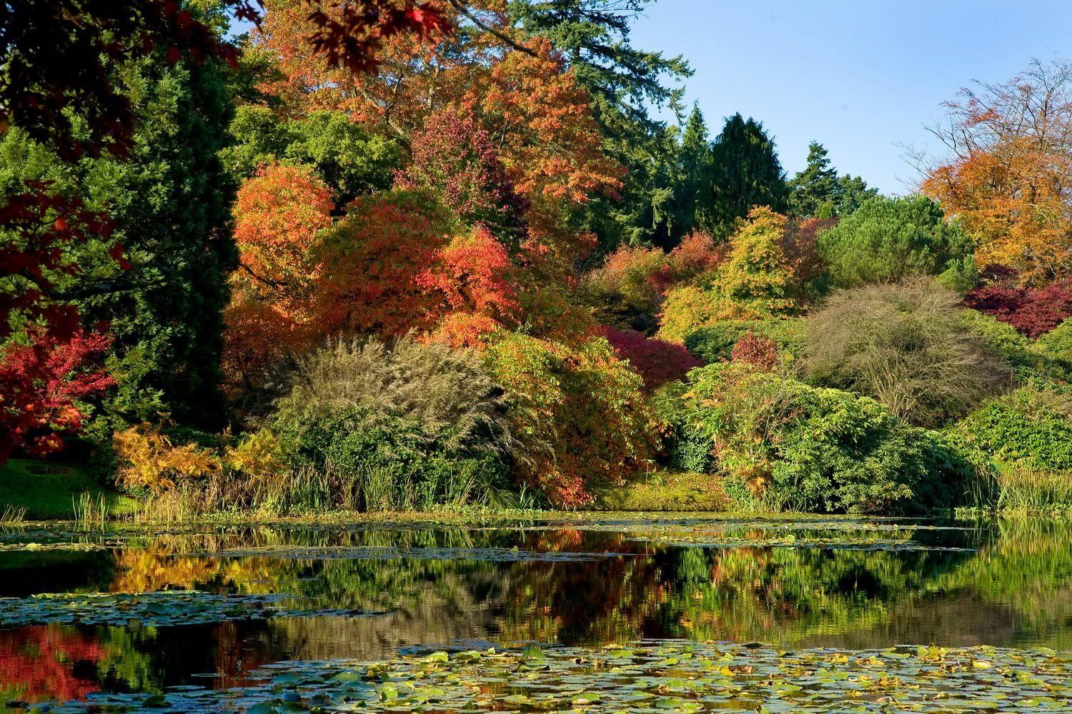 Autumn Reflections